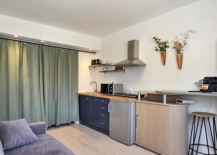 Lx147 Lumineux Centre, Confort & Autonomie Cannes